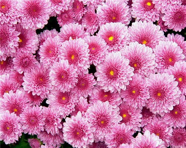 Валентина Валентина