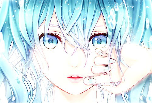 Черепашка ~