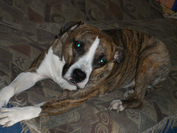 Наталья Сафронова