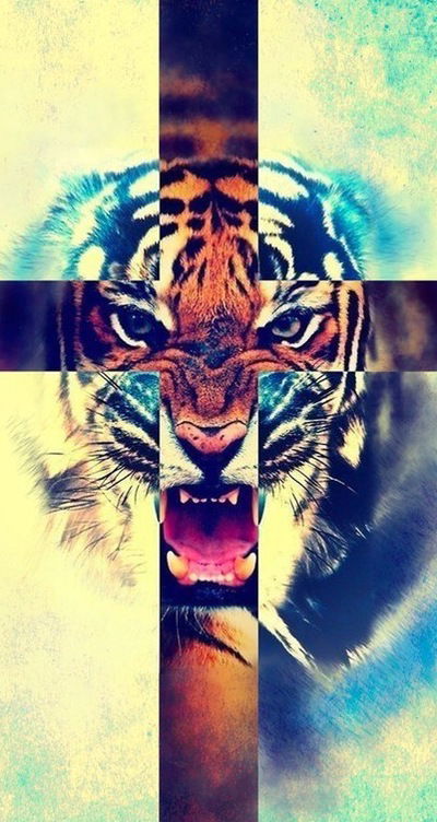 Артём Пауль