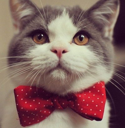 Игорь Леоненко