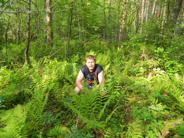 Сергей Власов