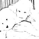 Полина Крестьянинова