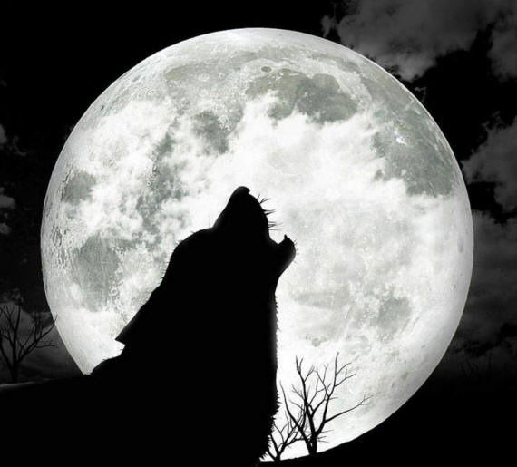 Сергей Суслин