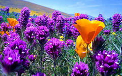 Гульнар Мусралина