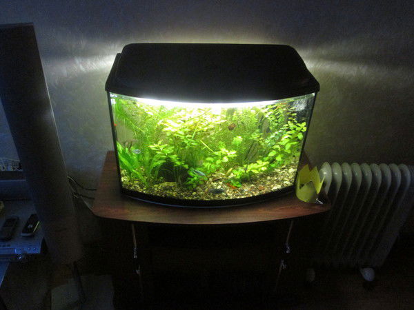 Олег Якушев