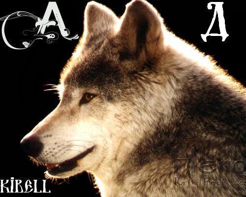 Александр Дорохов