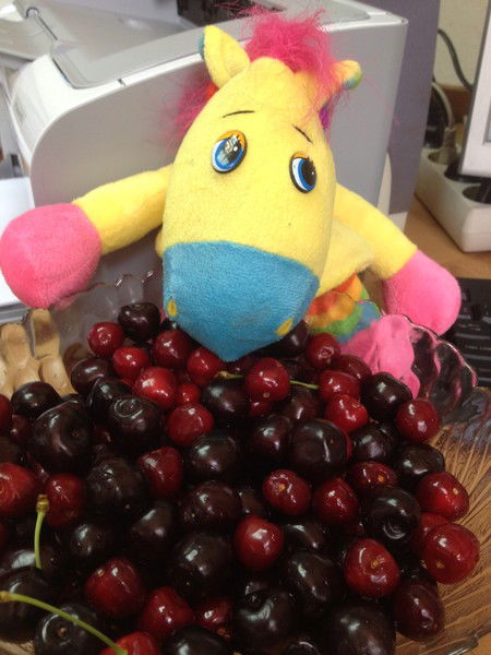 Ирина Полищук