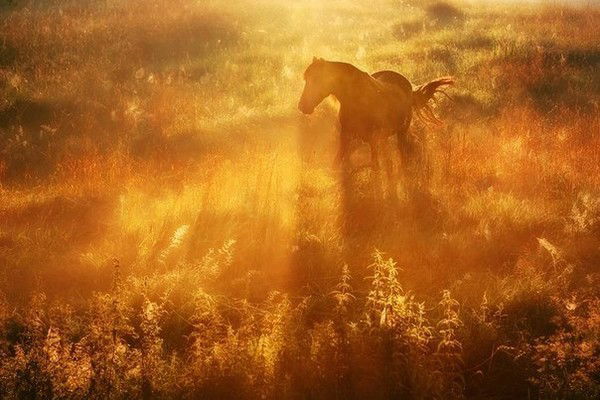 Александра Безрукова