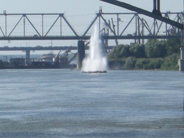 Елена Мошкова