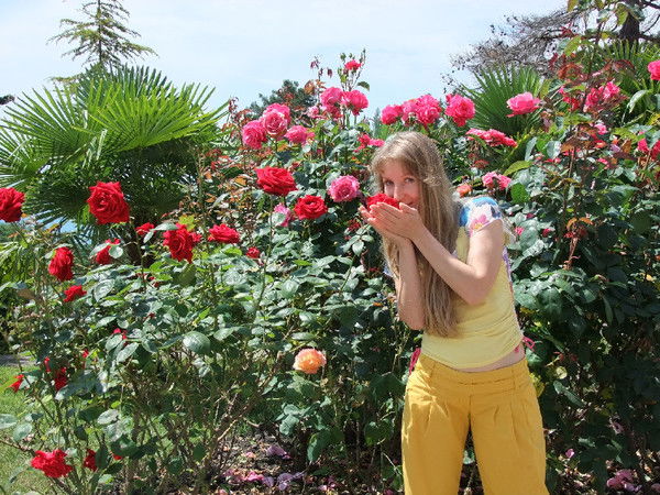 Отдых Адлер