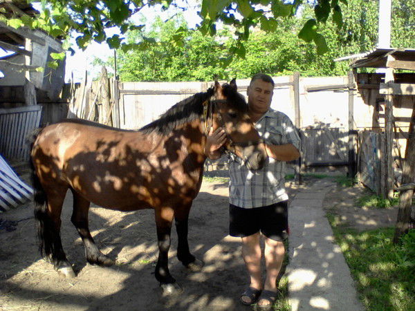 Александр Синица