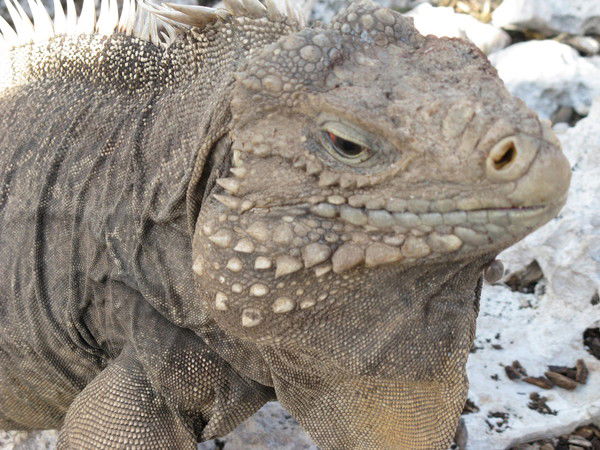 Сергей Назаров