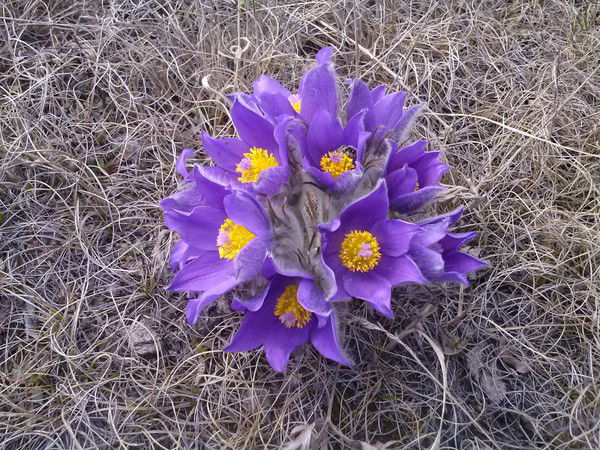 Илья Ефимов