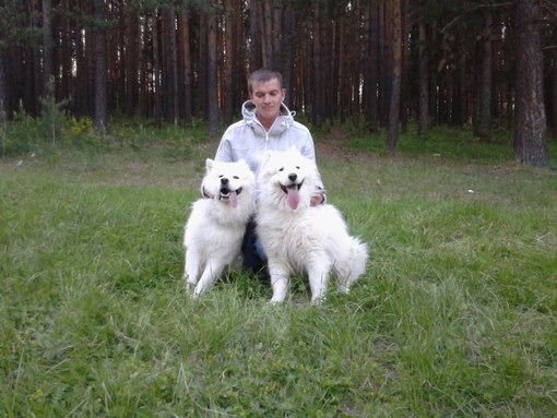 Алексей Бронников