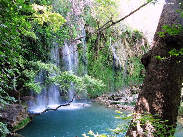 Коля Ветров