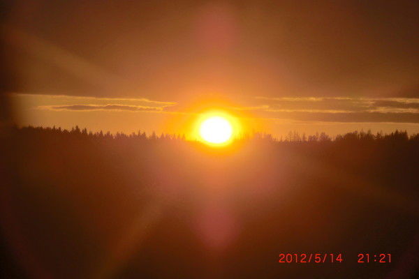 Татьяна Волынкина