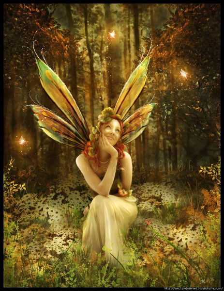 Светлана Шамшурина