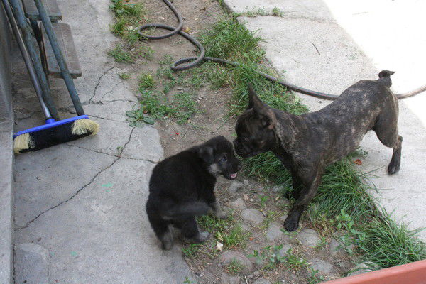 Гошка Васильев