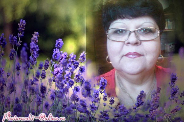 Светлана Лисица