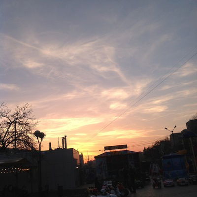 Ксения Тори