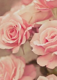 Аня Балабан