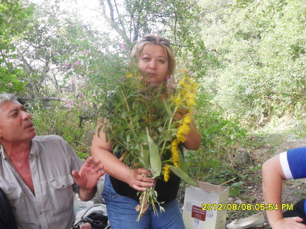 Гуля Елибакиева