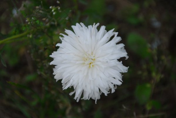 Наталья Наташина