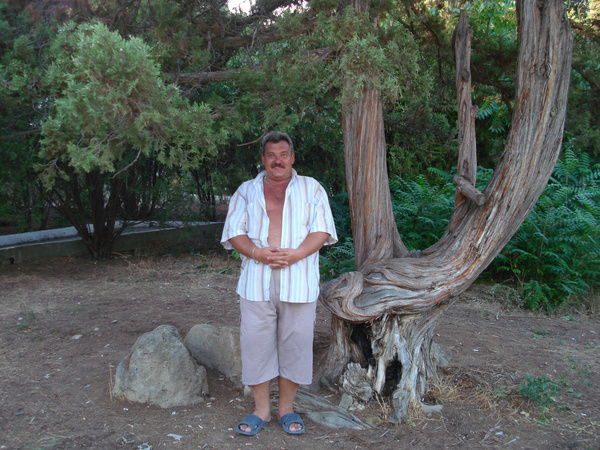 Андрей Мурашкин