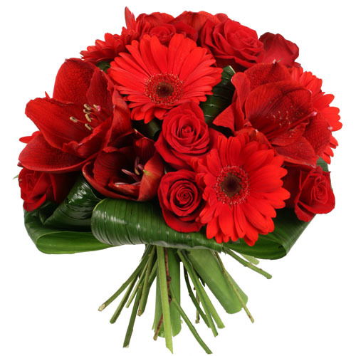 Райфо Сырдария