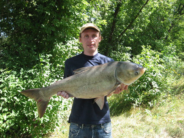 Дмитрий Покидин