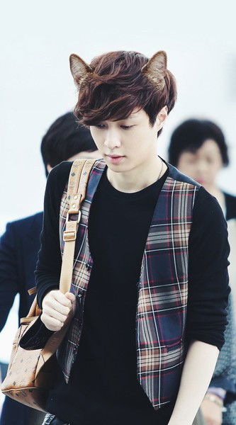 Екатерина Кононова