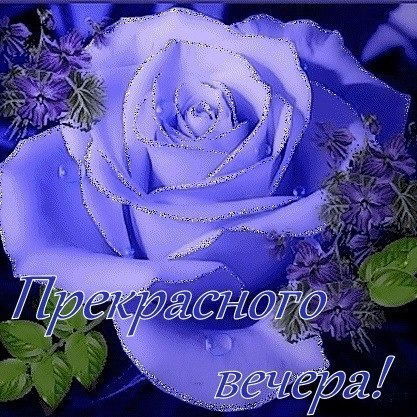 Арина Репях