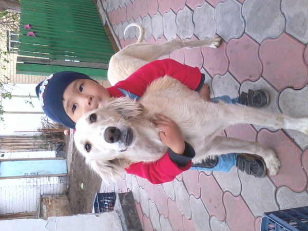 Айтуаров Ардак