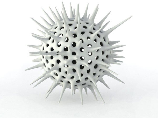 Андрей Ноготков