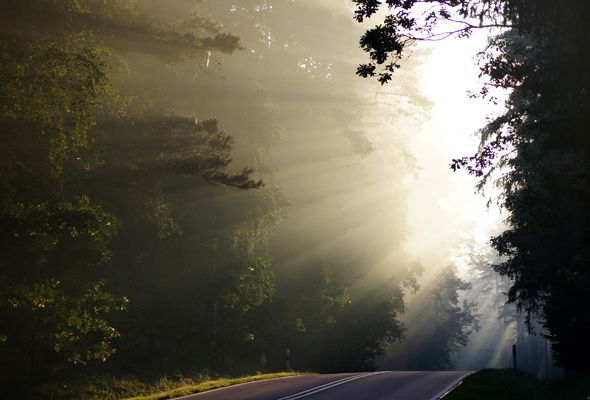 Юсуф Рафиков