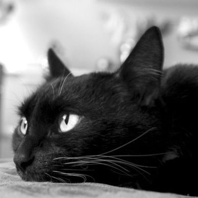 Алена Куперман