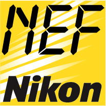 Роман Корнеев