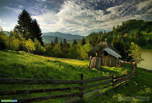 Леонора Гребенщикова