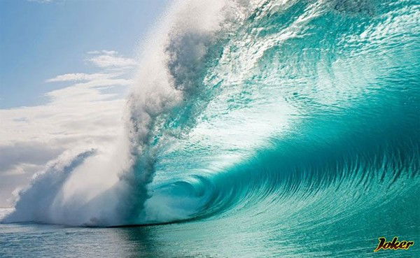 Надежда Догорова