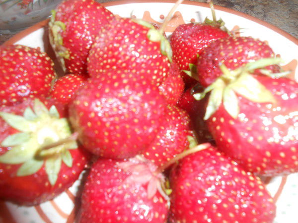 Ксения Долматова