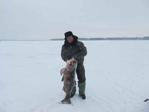 Сергей Зобнин