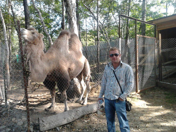 Алексей Сарычев