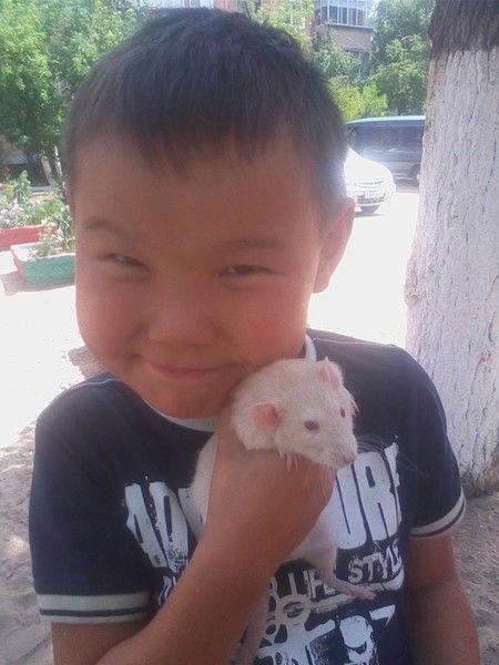 Эльвира Ванкеева