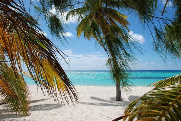 Ирина Амирова