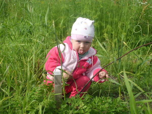 Александр Караваев