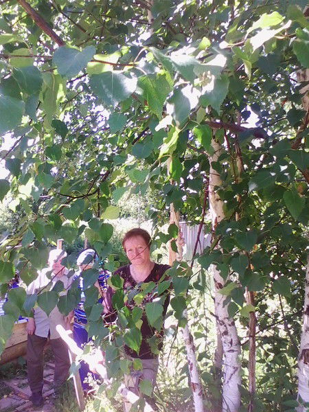 Лариса Фефилова