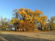 Неизвестно Неизвестно