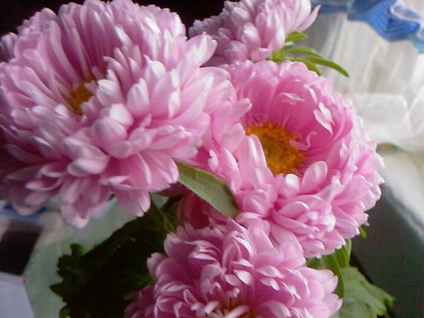 Жанна Рудых