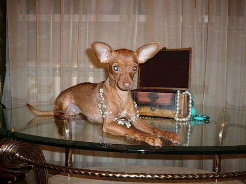 Валентина Сергеевна